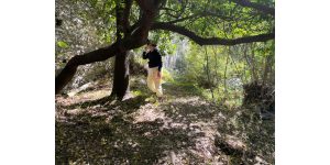 Danza en la Naturaleza Retiro, entrevista