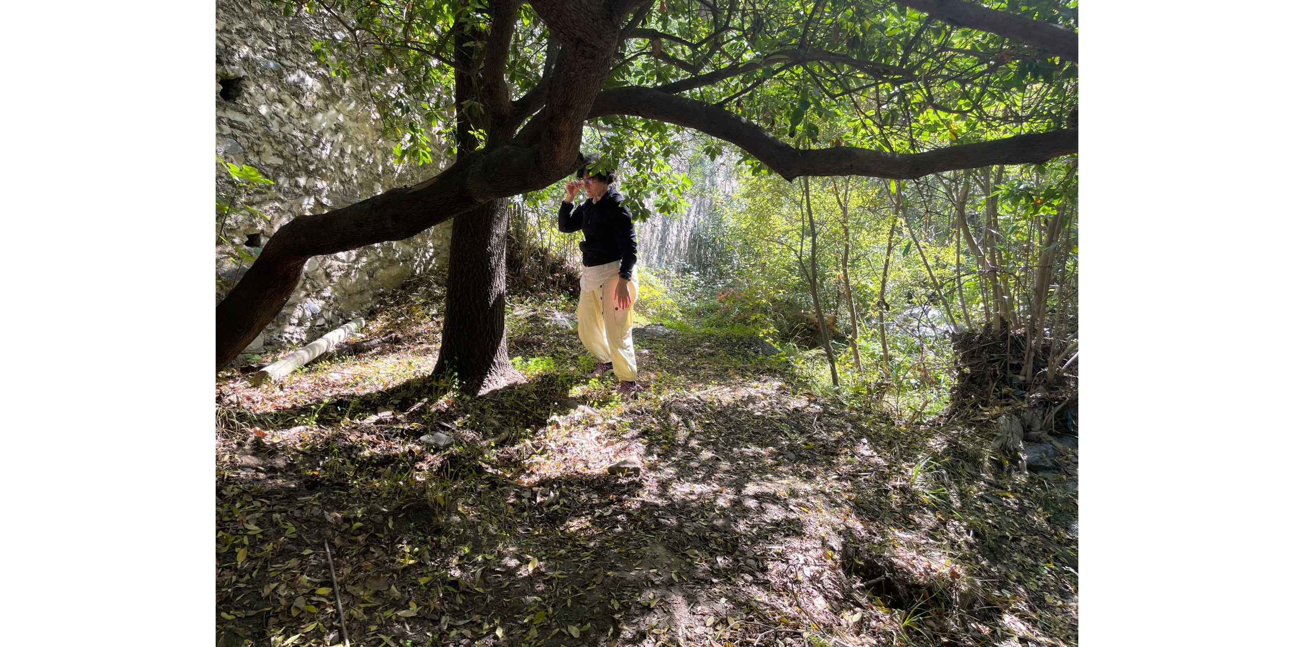 Danza en la Naturaleza Retiro, entrevista